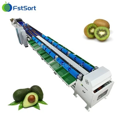 Kiwi vektsorteringsmaskin
